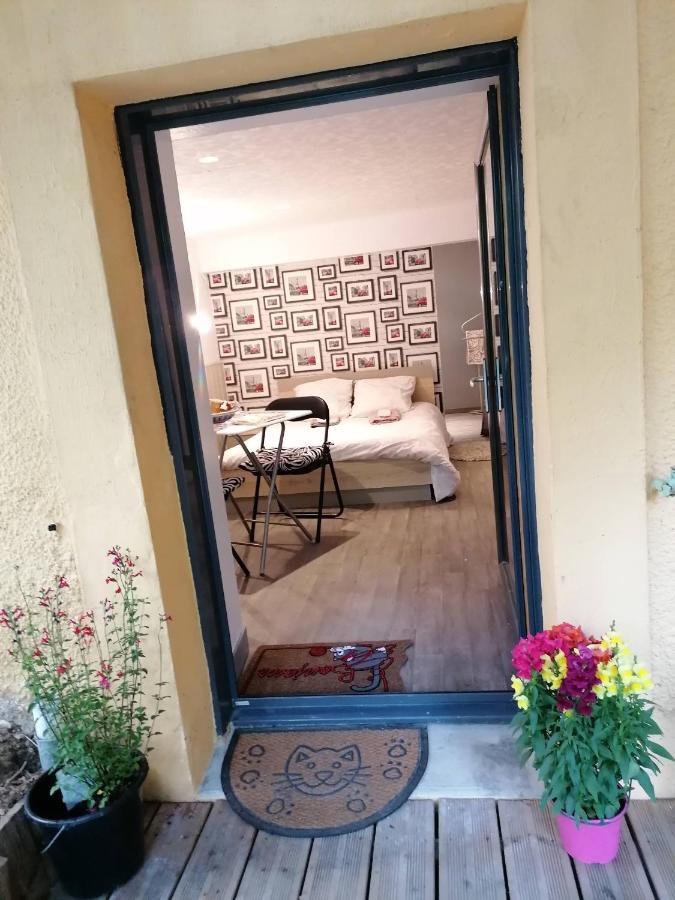 Guest House Dans Jardin Exotique Proche D'Une Voie Verte Morlaix Buitenkant foto